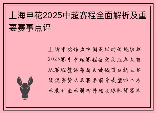 上海申花2025中超赛程全面解析及重要赛事点评